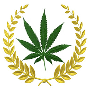 Texas legalize marijuana 2020