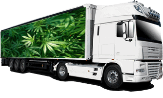 Texas Marijuana Deliveries RX