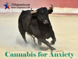 Medical Marijuana Certifications For Anxiety in Texas
