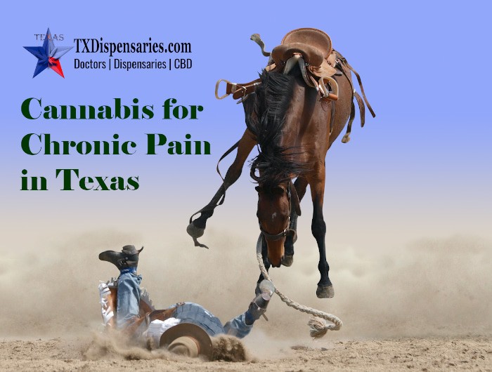 Cannabis for Chronic pain in Texas