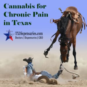 Cannabis for chronic pain