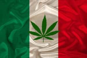 Mexican Marijuana